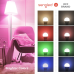 Умная лампочка Sengled Dimmable LED Bulb A19 E26 Multicolor (B11-N1EW)
