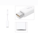 Apple Thunderbolt to Gigabit Ethernet Adapter MD463